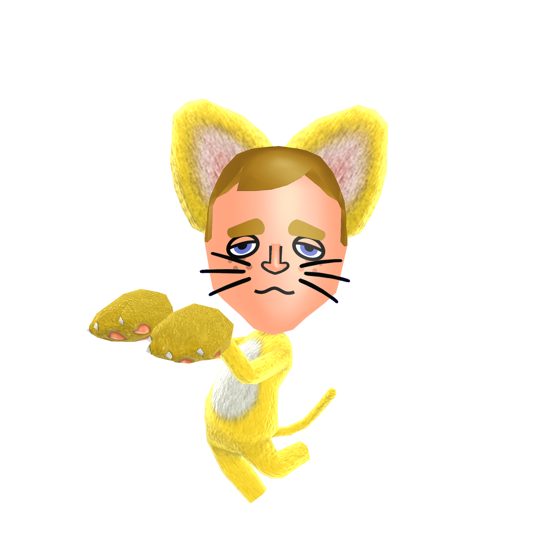 Miitopia (3DS) press kit promotional art for a Cat hero.